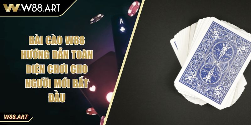 Bài Cào W88 Hướng Dẫn Toàn Diện Chơi Cho Người Mới Bắt Đầu