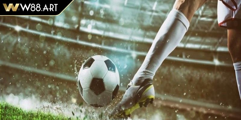 Xem xét yếu tố thời tiết và sân bãi