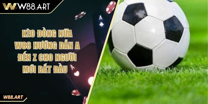 Kèo Đồng Nữa W88 Hướng Dẫn A Đến Z Cho Người Mới Bắt Đầu